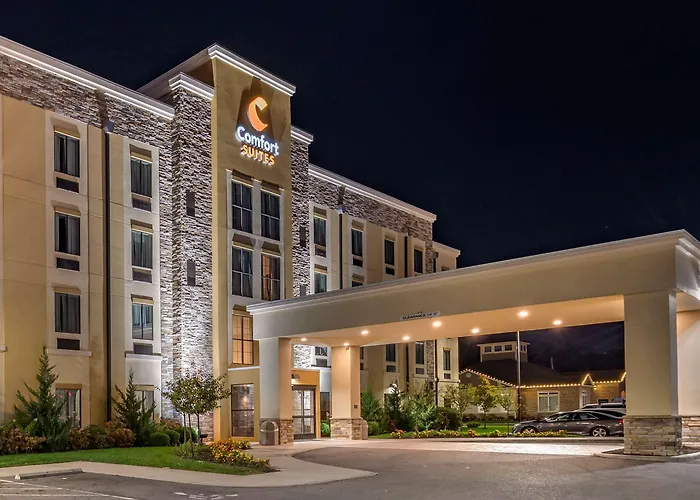 Hotel Comfort Airport 4*