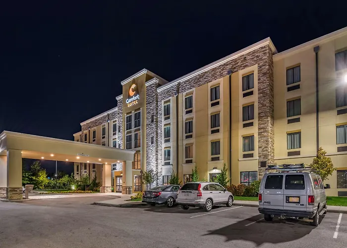Comfort Airport 4*
