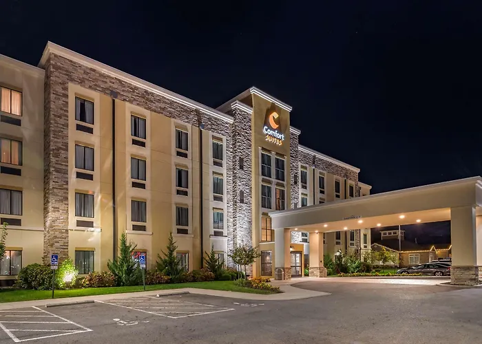 Comfort Airport Hotel